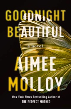 Cover of Goodnight Beautiful by Aimee Molloy. Gold and white writing on a black background with a gold and white butterfly wing in the background.